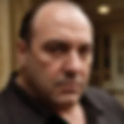 Detailed character analysis of Tony Soprano
