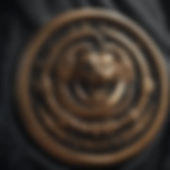 Close-up of Cobra Kai emblem on uniform