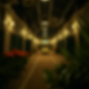 Unique Settings in Hulu Series A captivating backdrop from a well-received Hulu series that reflects its unique setting