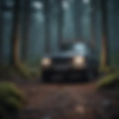 Enigmatic Twilight in the Wilderness Eerie forest at dusk
