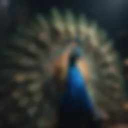 Peacock Premium WWE Network logo