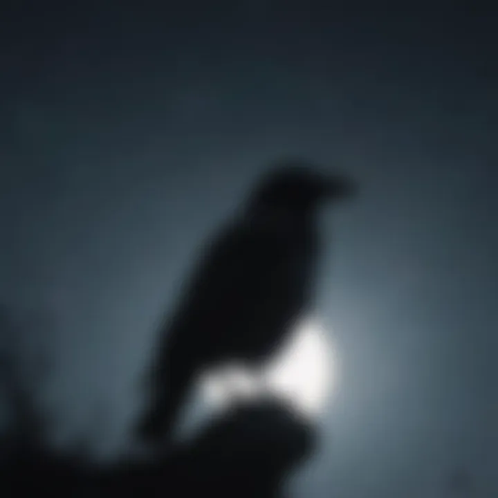 Mysterious silhouette of a crow in moonlight