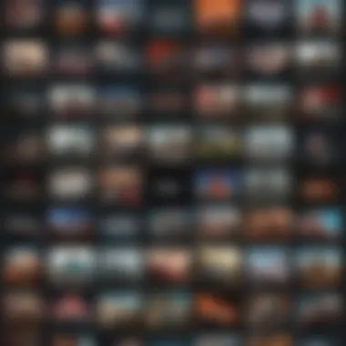 Streaming Platforms for Coda A collage of streaming platforms featuring Coda