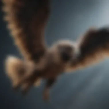 Majestic Gryphon in Flight Majestic Gryphon in Flight