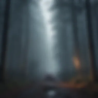 Eerie fog shrouding a darkened forest