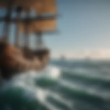 Strategizing Against the Waves of Piracy Piracy combat strategies