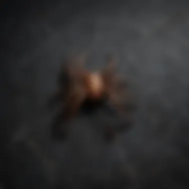 Iconic Spider Symbol Spider Symbol Print on Black Fabric