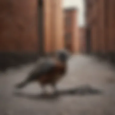 Freedom from Shackles Redemption Symbolized by a Bird Breaking Free