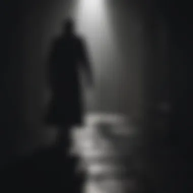 Sinister Shadows: An Intriguing Silhouette Teasing the Horror Within