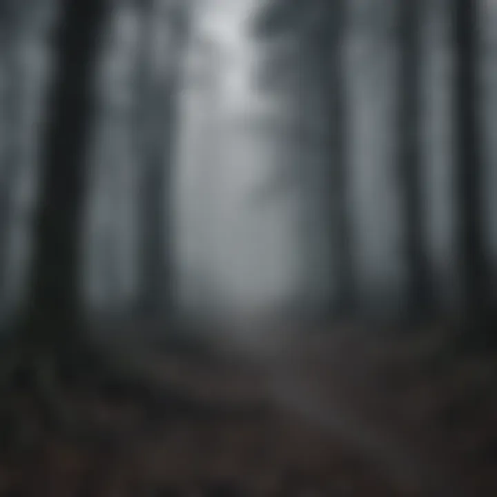 A haunting forest scene representing the eerie atmosphere of The Blair Witch Project.