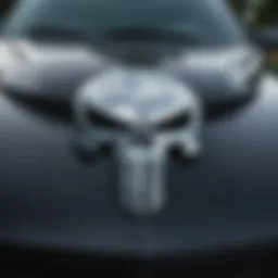 The iconic Punisher emblem showcased on a car hood