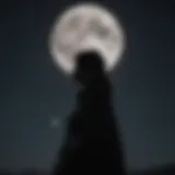 Mysterious Figure Silhouetted Against Moonlit Sky